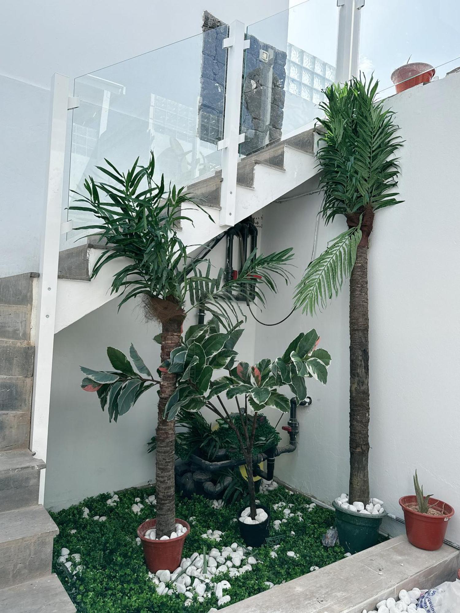 Johnny Apartment Playa Blanca (Lanzarote)